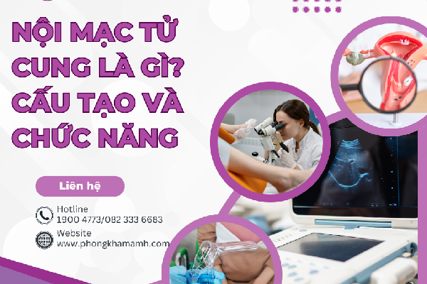 NỘI MẠC TỬ CUNG LÀ GÌ? CẤU TẠO VÀ CHỨC NĂNG